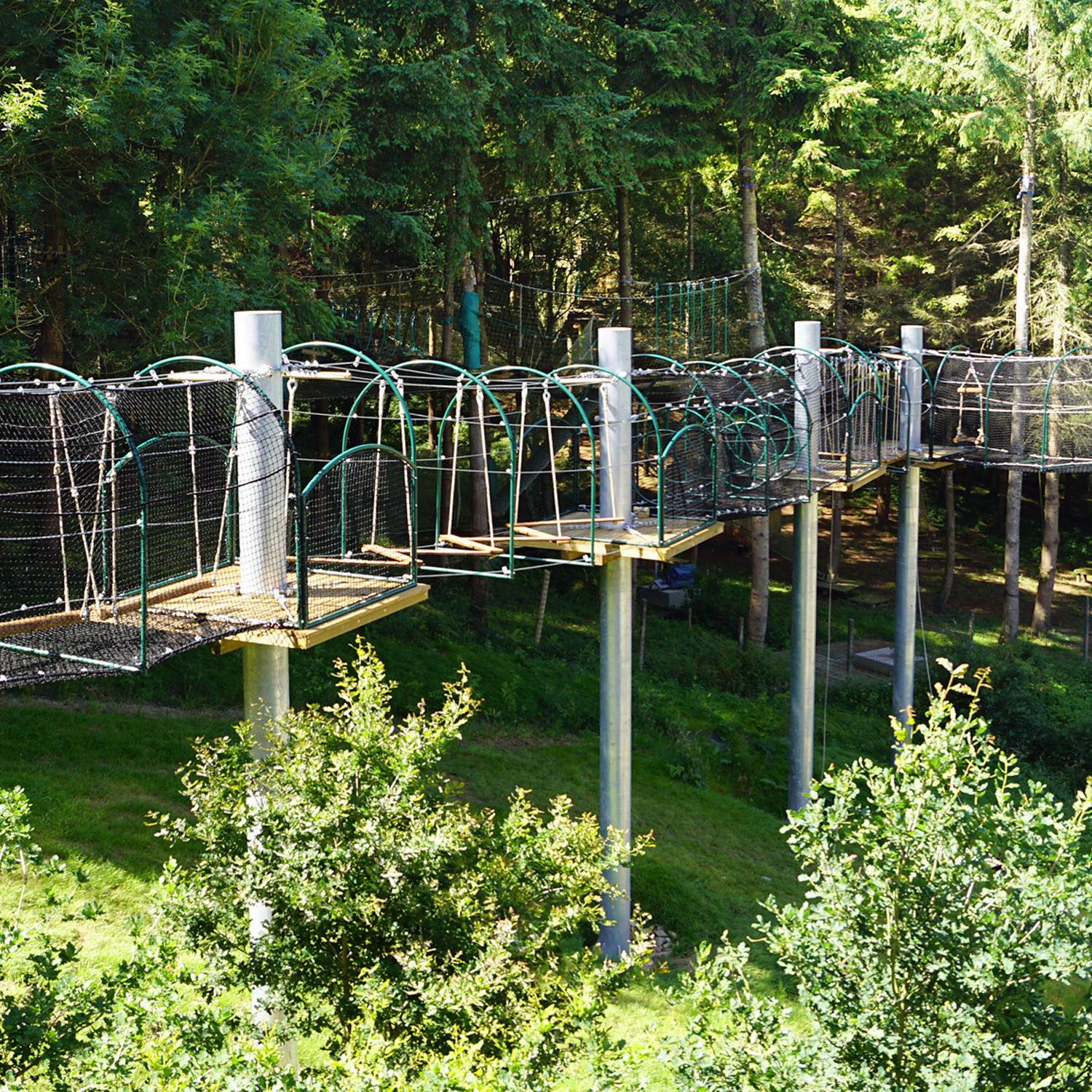 Nouveauté au complexe sportif Marcel Bec : des filets dans les arbres pour  explorer la forêt